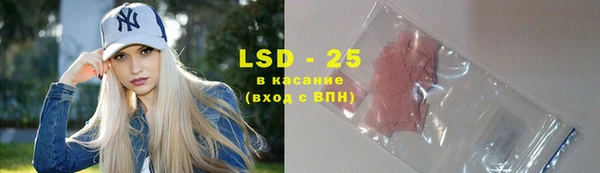 индика Алапаевск