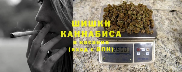 индика Алапаевск
