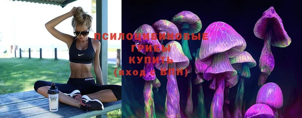 первитин Алагир