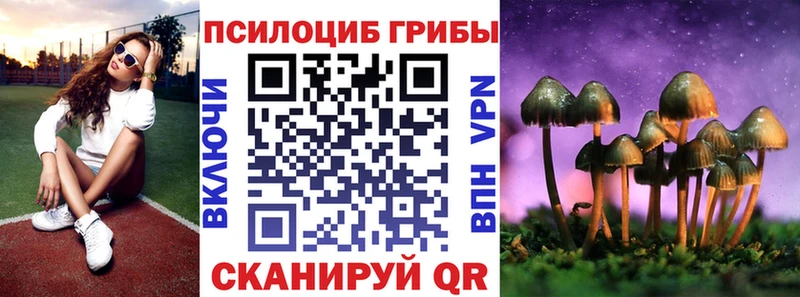 Псилоцибиновые грибы Magic Shrooms  Бежецк 