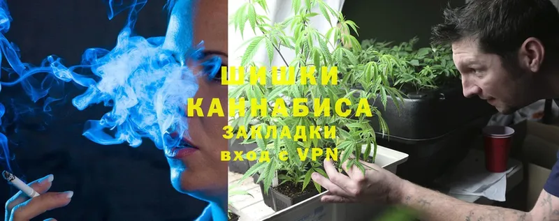 Марихуана OG Kush  Бежецк 